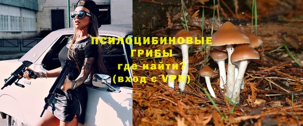 первитин Надым